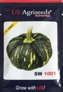 High-quality seeds of US Agriseeds SW1001 F1 Hybrid Pumpkin featuring a flat-round shape and deep orange flesh.