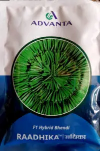 Packet of Advanta Radhika Hybrid Bhindi (okra) seeds, high-yield variety for improved vegetable production, suitable for commercial and home farming.
