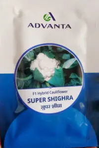 Advanta Super Shighra F1 Hybrid Cauliflower seeds packet, early maturing high-yield variety seeds for uniform, compact white cauliflower heads suitable for commercial and home farming