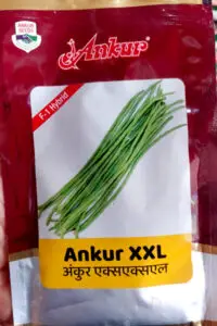 Ankur XXL F1 Hybrid Lobia (cowpea) seeds packet, high-yield variety seeds for strong vine growth and long, tender pods suitable for commercial farming and home vegetable gardens.