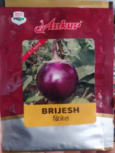 Ankur Brijesh F1 Hybrid Baigan Seeds high yield brinjal seeds packet