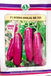 Sungro F1 Hybrid Brinjal No. 704 seeds packet, high-yield eggplant variety with uniform, glossy purple fruits suitable for commercial farming and home vegetable gardens.