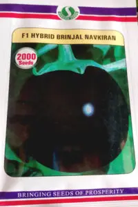 Sungro F1 Hybrid Navkiran Brinjal seeds packet, high-yield eggplant variety producing uniform, glossy purple fruits suitable for commercial farming and home vegetable gardens.