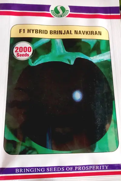 Sungro F1 Hybrid Navkiran Brinjal seeds packet, high-yield eggplant variety producing uniform, glossy purple fruits suitable for commercial farming and home vegetable gardens.