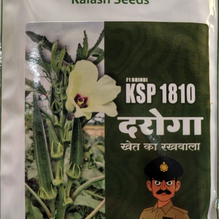 Kalash Seeds KSP 1810 F1 Hybrid Bhindi (Okra) Seeds Pack