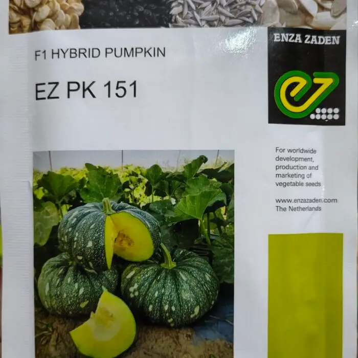 Enza Zaden EZ PK 151 F1 Hybrid Pumpkin (Kaddu) Seeds Pack