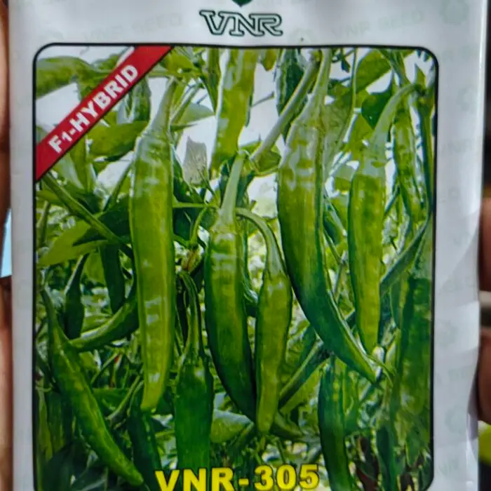 VNR-305 F1 Hybrid Green Chilli Seeds Pack