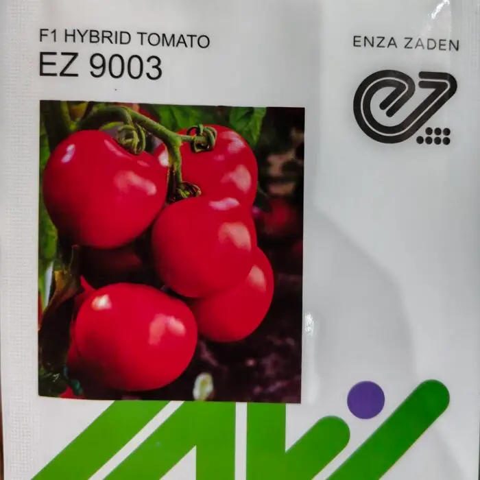 Enza Zaden EZ 9003 F1 Hybrid Tomato Seeds Pack