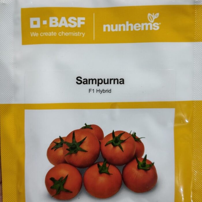 Nunhems Sampurna F1 Hybrid Tomato Seeds