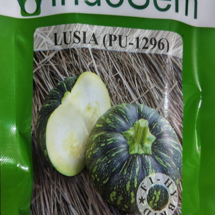 IndoSem LUSIA PU-1296 F1 Hybrid Pumpkin Seeds