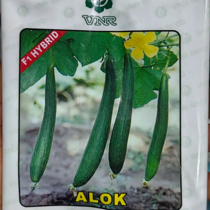 VNR ALOK F1 Hybrid Sponge Gourd Seeds Packet