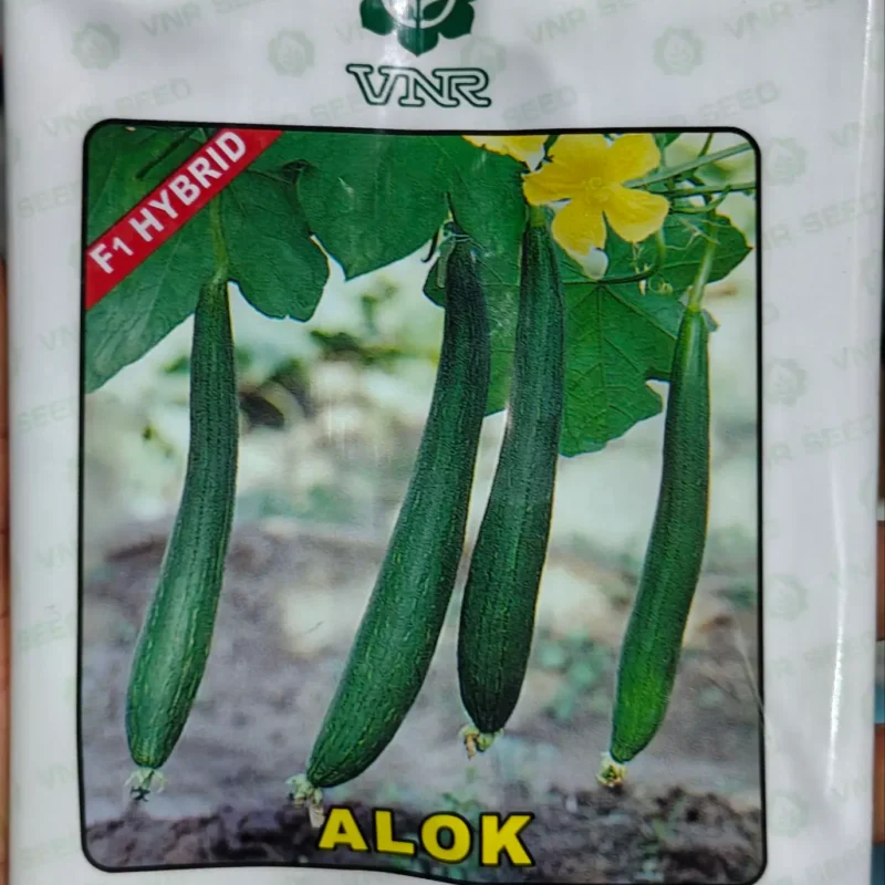 VNR ALOK F1 Hybrid Sponge Gourd Seeds Packet