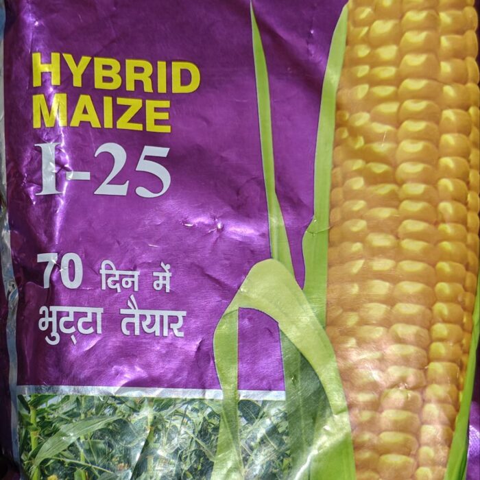 IKO Hybrid Maize I-25 Seeds 1 Kg