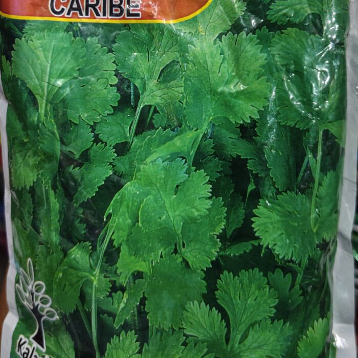 Coriander Caribe Seeds धनिया बीज