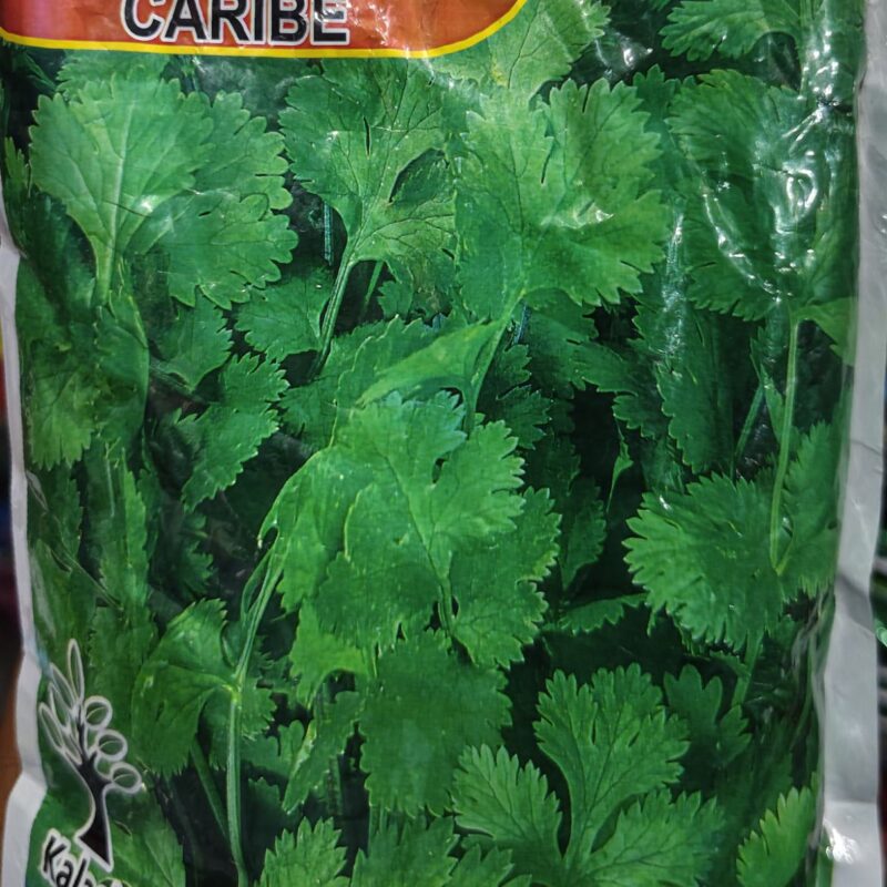 Coriander Caribe Seeds धनिया बीज