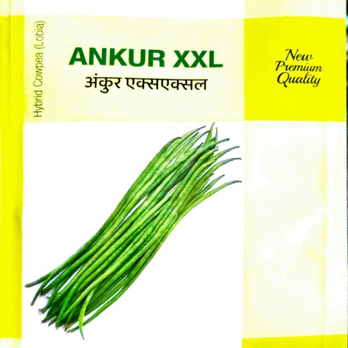 Ankur XXL F1 Hybrid Lobia (cowpea) seeds packet, high-yield variety seeds for strong vine growth and long, tender pods suitable for commercial farming and home vegetable gardens.