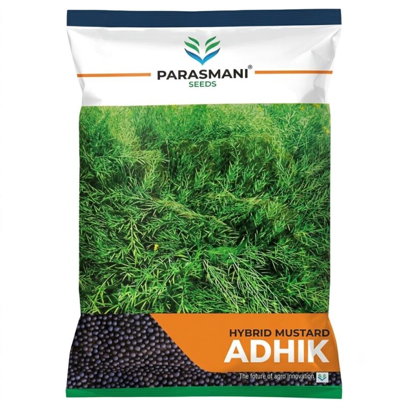 Parasmani Seeds Hybrid Mustard ADHIK pack for high yield farming
